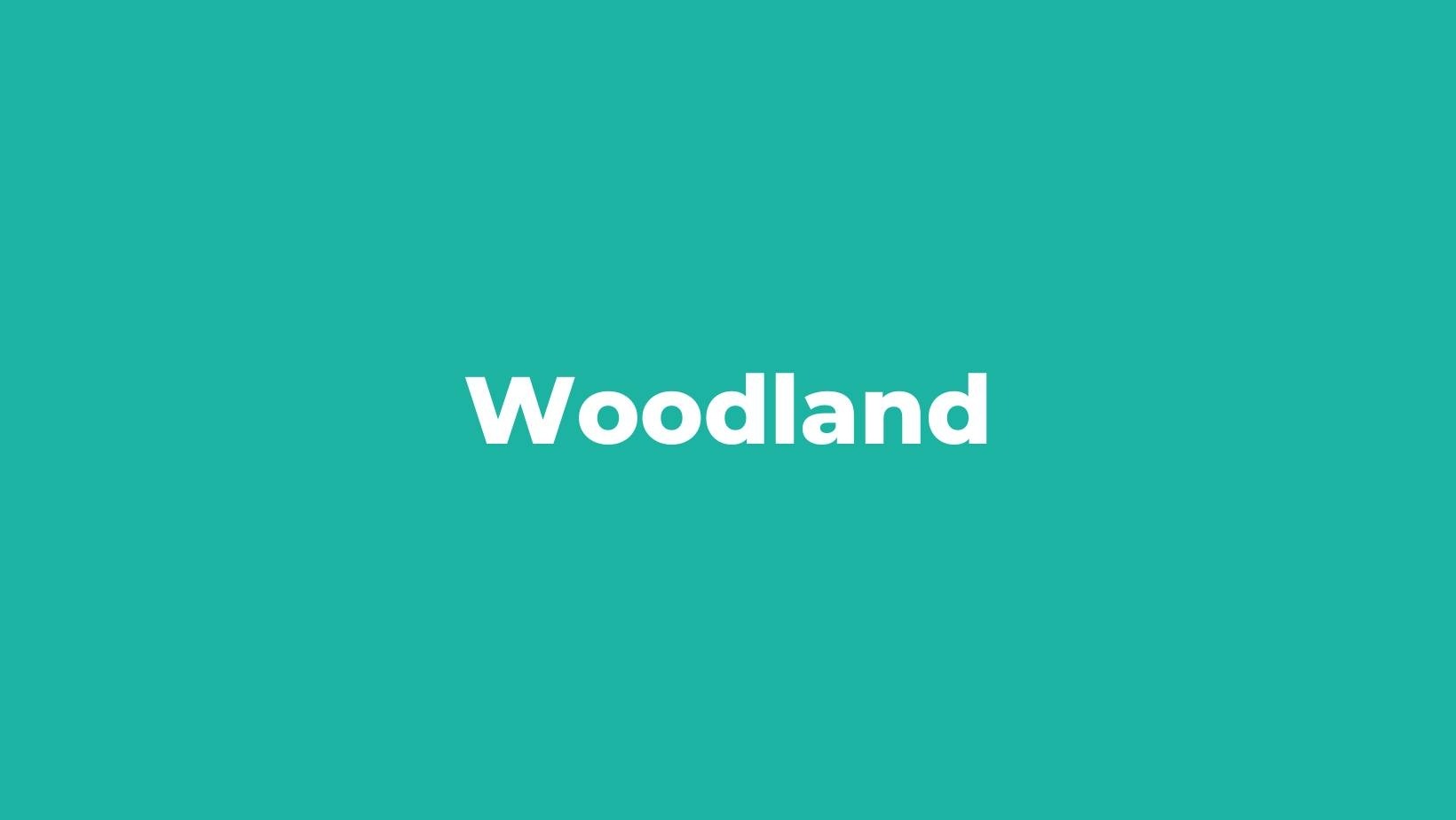 Nouveauté : Boostez vos réservations avec Woodland, la plateforme dédiée au tourisme de plein air !